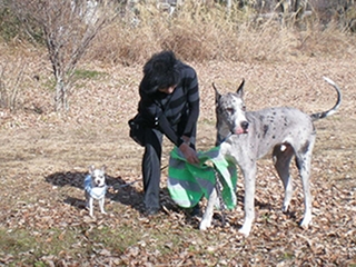 フォードッグス　セミナー＆＆ライブセッション　「本当にあなたとあなたの愛犬のためになるドッグランの在り方とその使い方を問う」