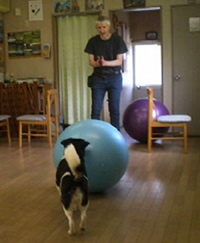 Why not try, Trieball