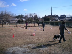 ラリーオビーディエンス競技会