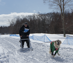 フォードッグスsledfun