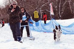 犬ぞリ大会に出よう！