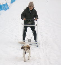 ワン子と雪を楽しもう!
