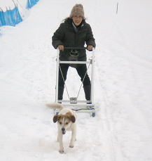 ワン子と雪を楽しもう！